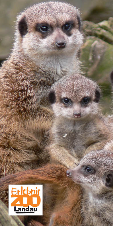 Zoo Landau